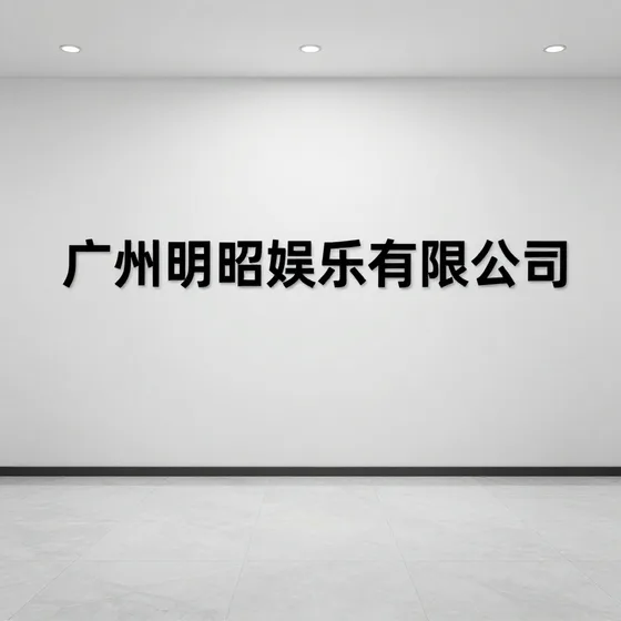 合肥美龙盛霸电器